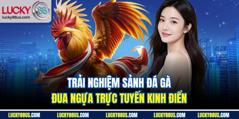 Trải nghiệm sảnh Đá gà - Đua ngựa trực tuyến kinh điển